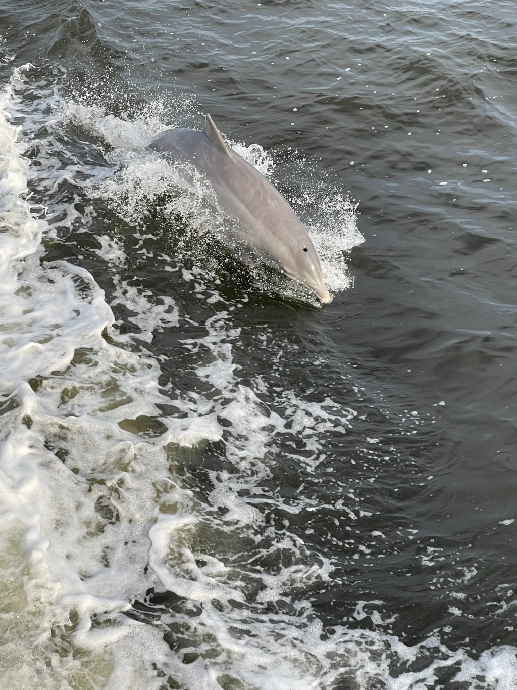 Day 14 (1/21/26) – Biloxi Small Craft Marina to Lulu’s Homeport&nbsp;Marina