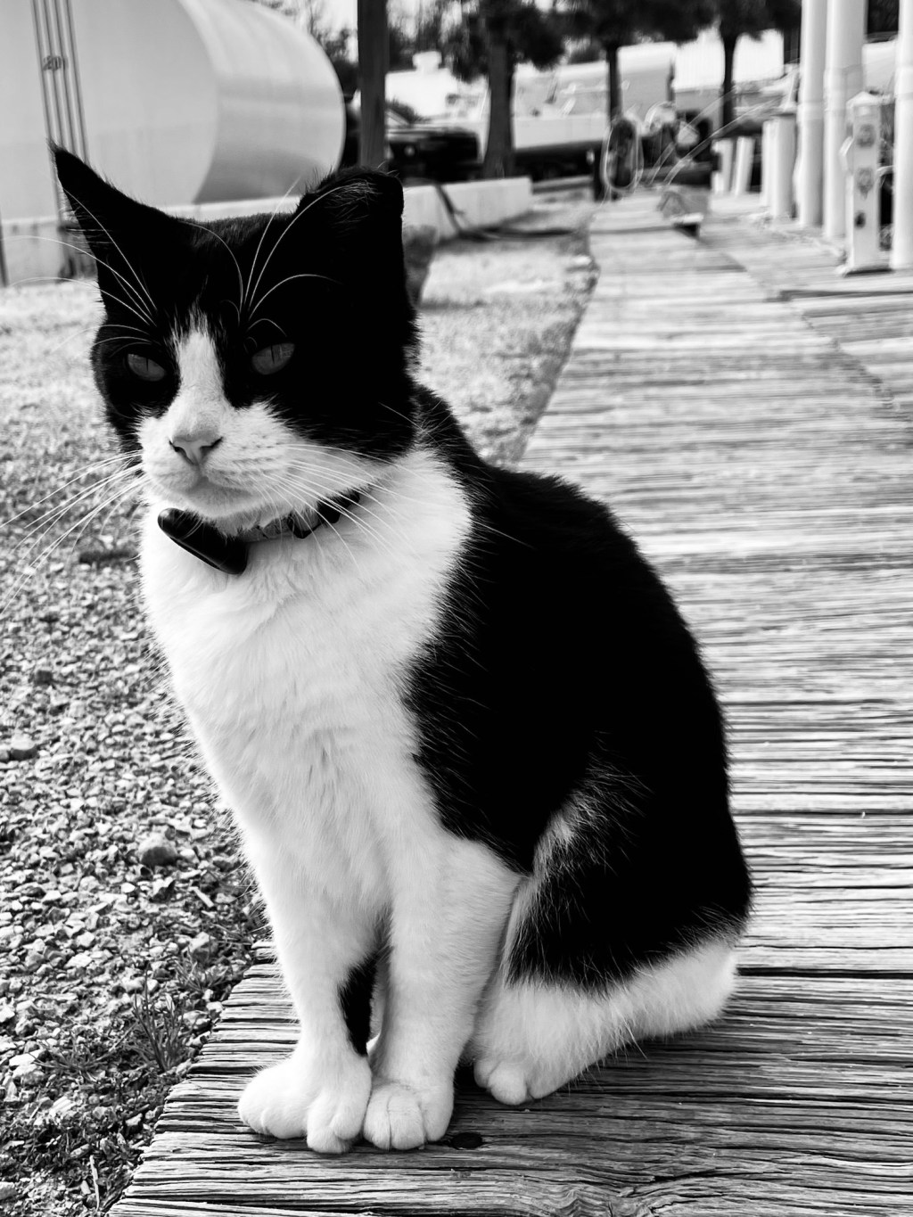 Day 18 (1/25/26) – Layover in&nbsp;Apalachicola