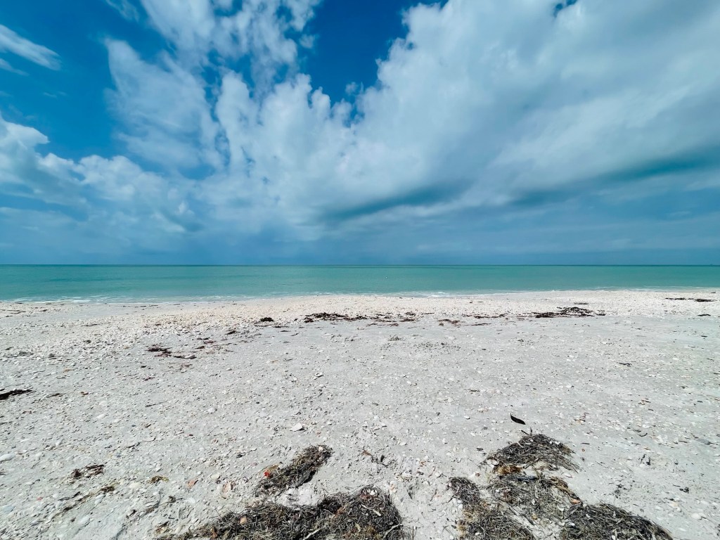 Day 50 (2/26/26) – Layover at Boca Grande (Gasparilla Island)