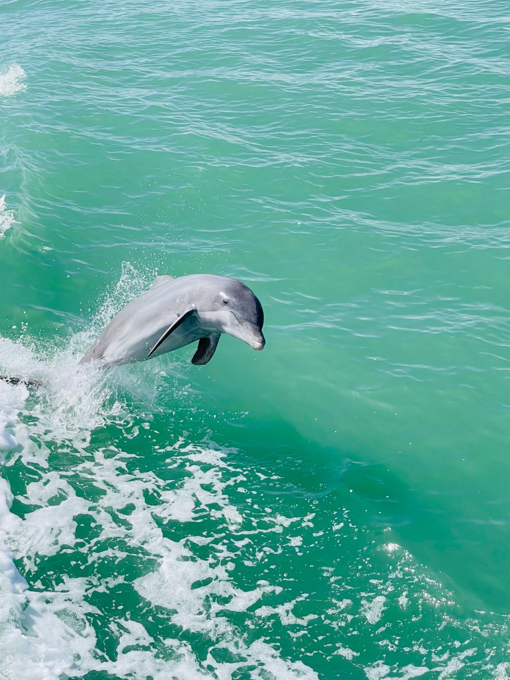 Day 52 (2/28/26) – Cayo Costa Anchorage to Gulf Harbour Marina (Fort Myers)