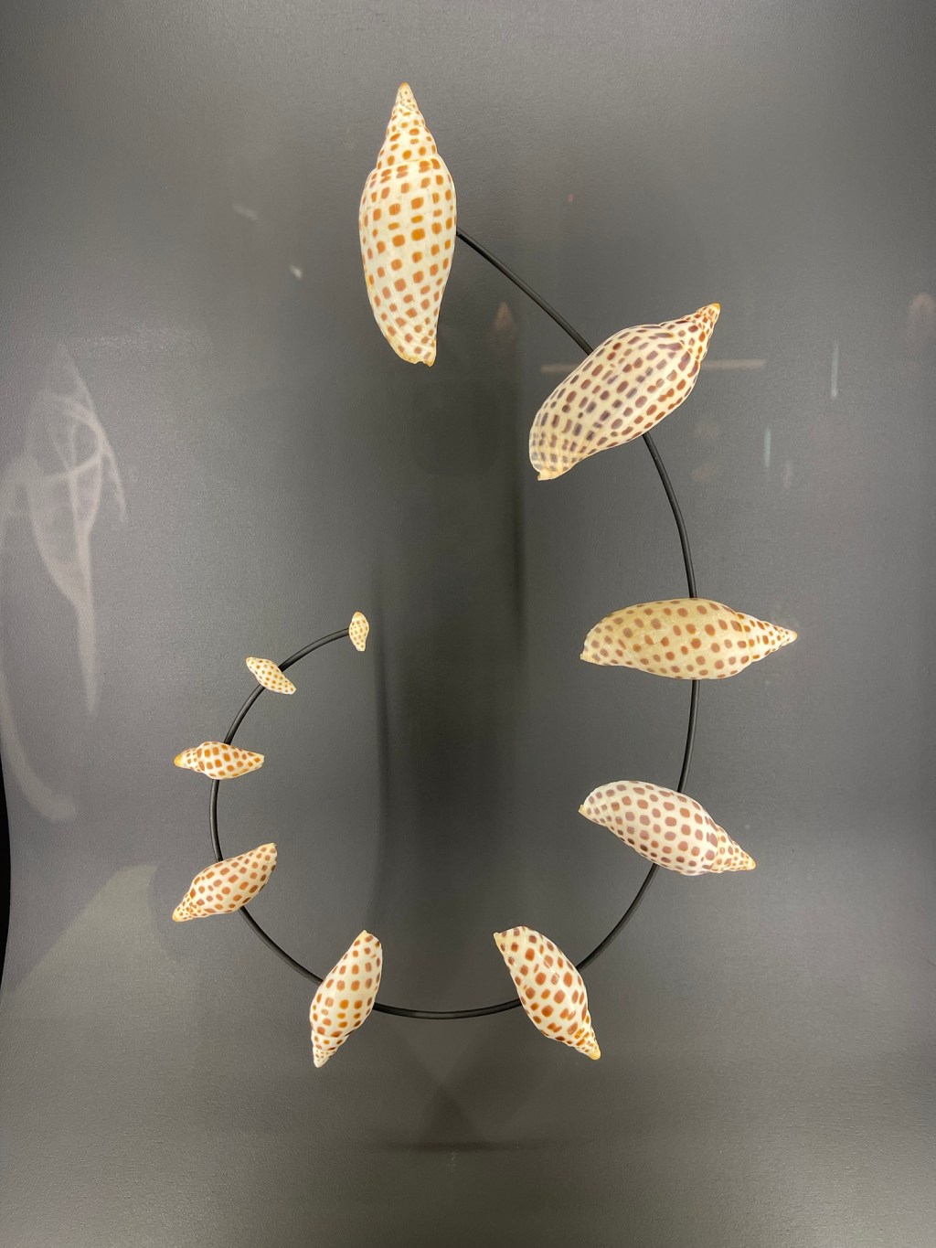 Day 55 (3/3/26) – Layover in Fort&nbsp;Myers