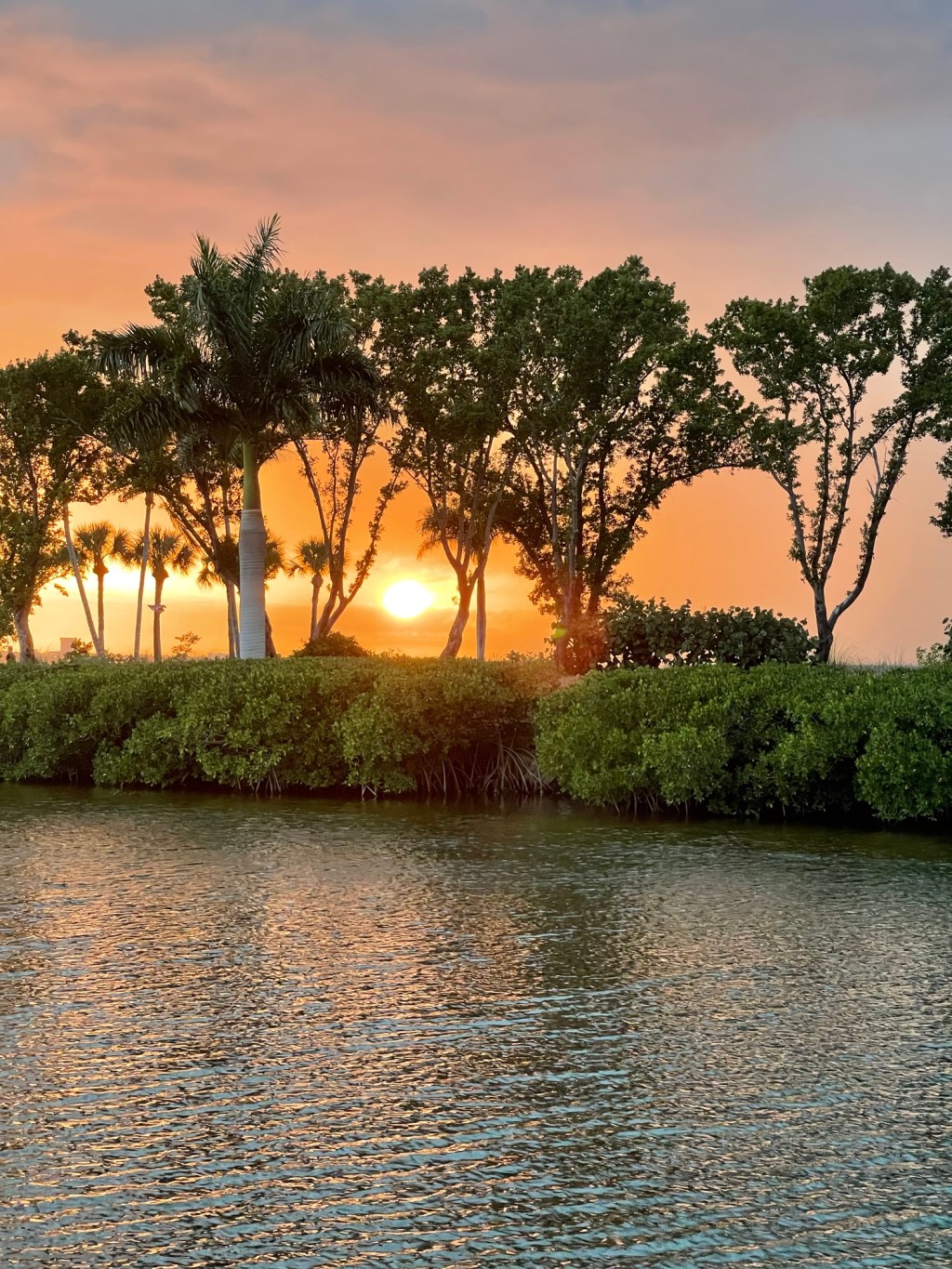 Day 55 (3/3/26) – Layover in Fort Myers