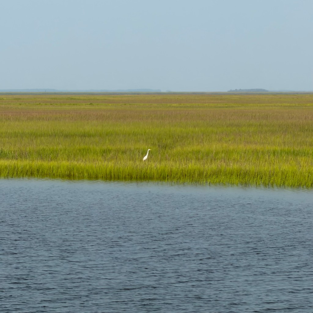 Day 98 (7/28/26) – Safe Harbor Beaufort Marina to Safe Harbor Charleston City&nbsp;Marina
