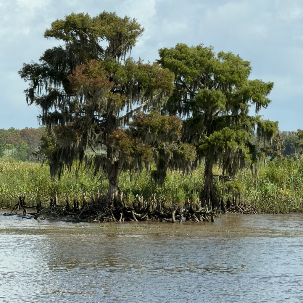 Day 107 (8/7/26) – Harborwalk Marina to Wacca Wache Marina (Murrells&nbsp;Inlet)